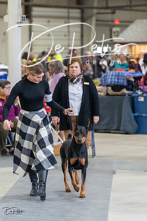 20230304-DSC06155
