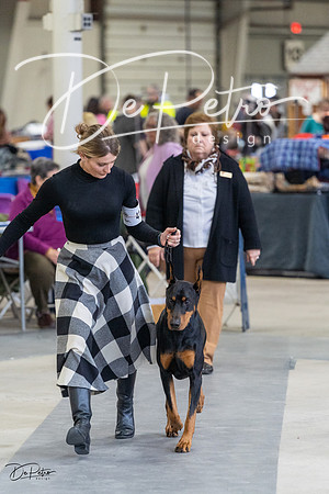 20230304-DSC06159