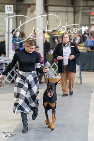 20230304-DSC06163