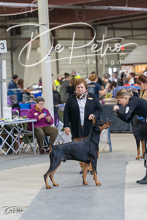 20230304-DSC06192