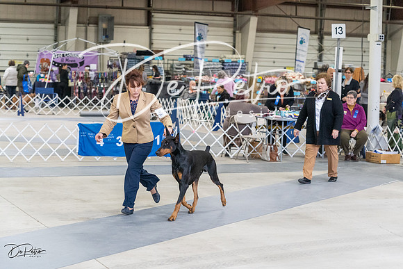 20230304-DSC06215