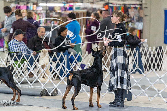 20230304-DSC06245