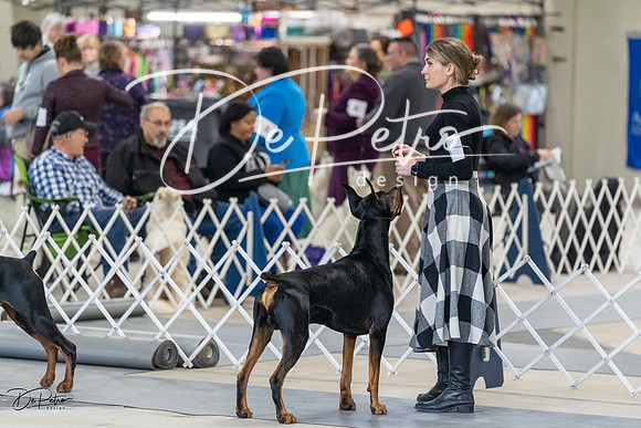 20230304-DSC06246