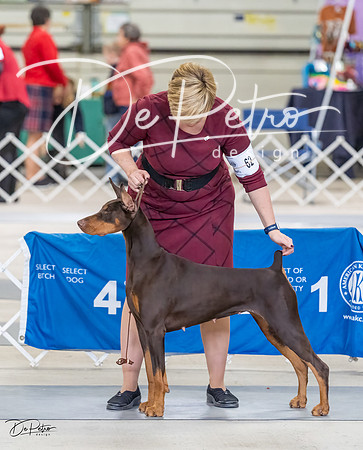 20230304-DSC06318