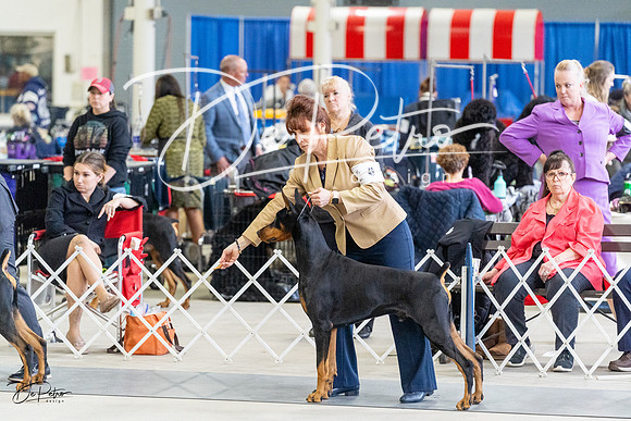 20230304-DSC06501