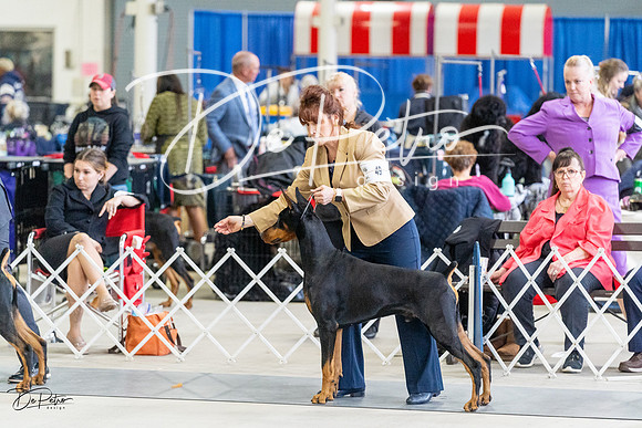 20230304-DSC06504