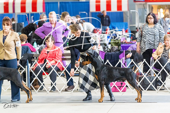 20230304-DSC06508