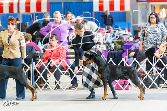 20230304-DSC06511