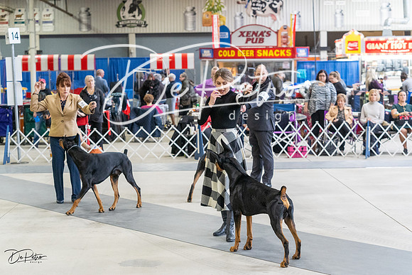 20230304-DSC06517