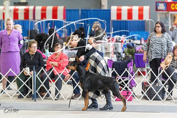 20230304-DSC06586