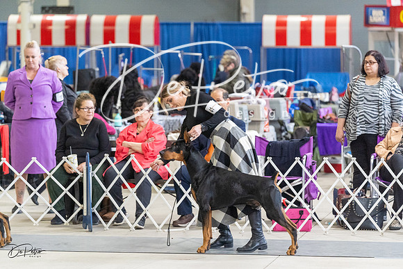 20230304-DSC06587