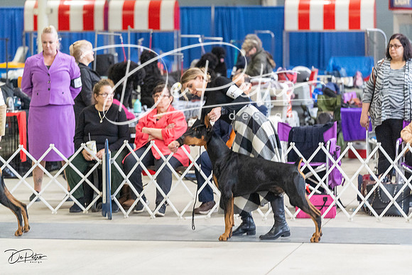 20230304-DSC06588