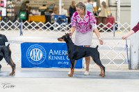 20230304-DSC05837