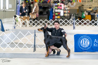 20230304-DSC05842