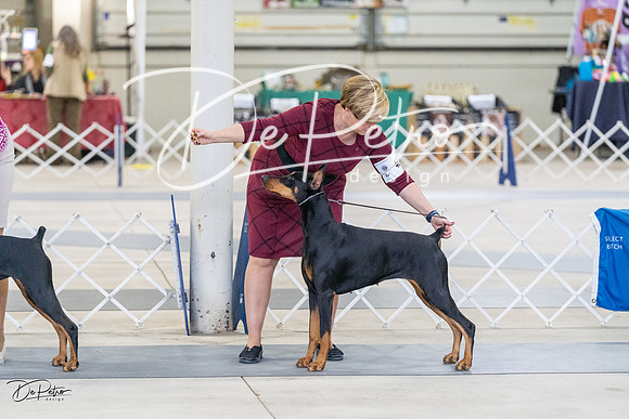 20230304-DSC05845