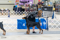 20230304-DSC05847