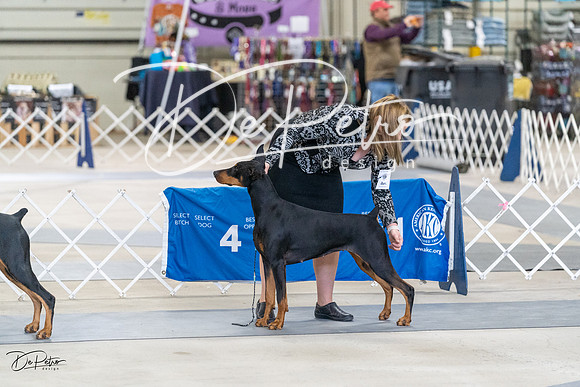 20230304-DSC05847