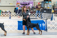 20230304-DSC05851