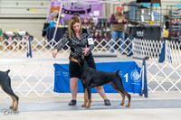 20230304-DSC05852