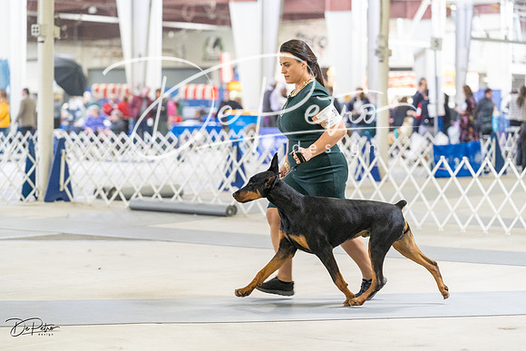 20230304-DSC07486
