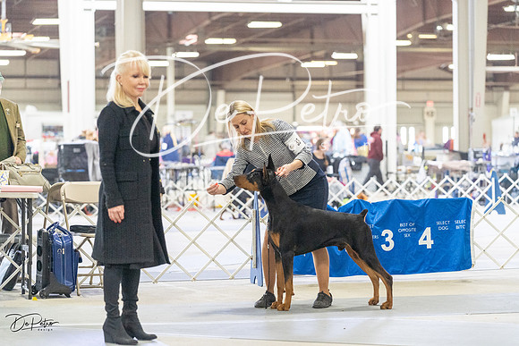 20230304-DSC07502