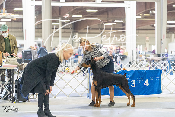 20230304-DSC07505