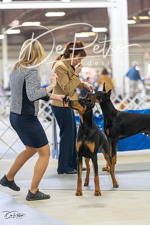 20230304-DSC07523
