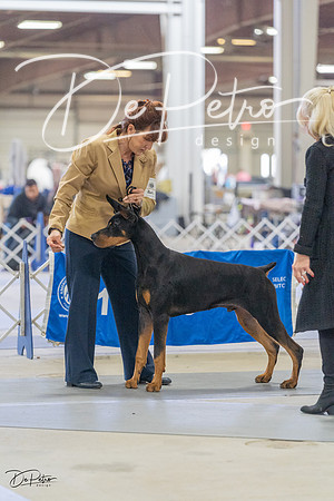 20230304-DSC07529