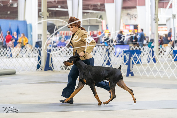 20230304-DSC07539