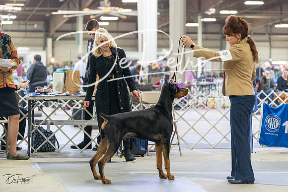 20230304-DSC07554