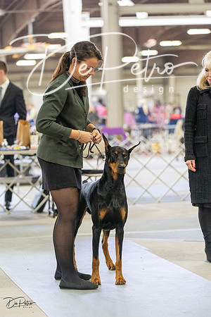 20230304-DSC07564