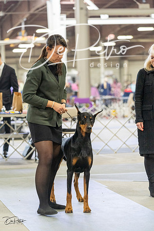 20230304-DSC07565