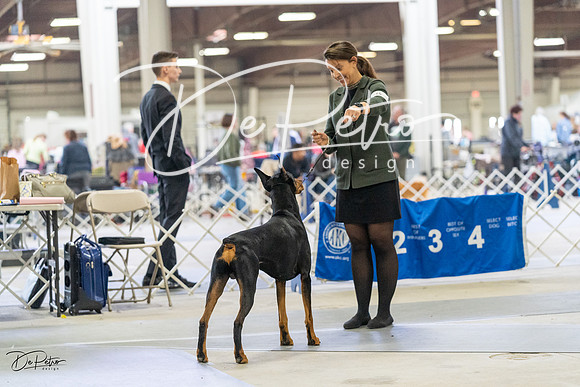 20230304-DSC07594