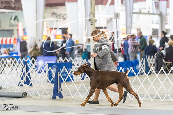 20230304-DSC07644