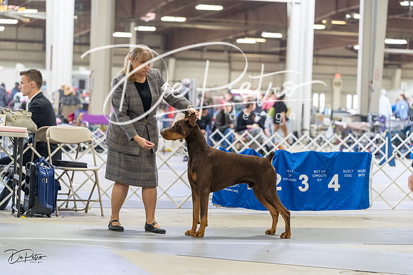 20230304-DSC07662