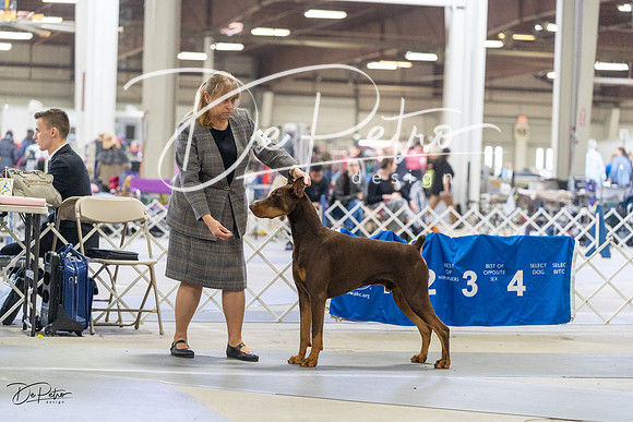 20230304-DSC07663