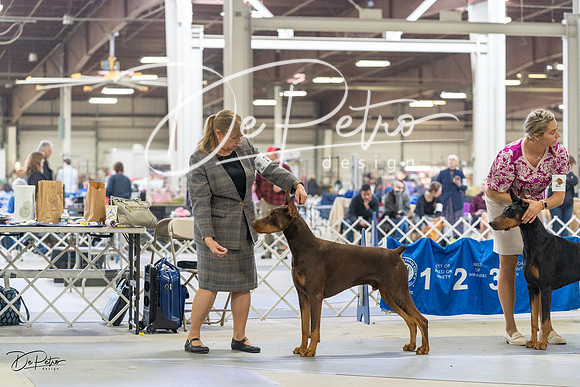 20230304-DSC07719