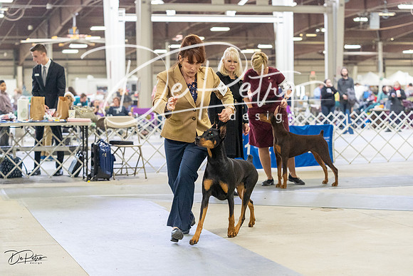 20230304-DSC07760
