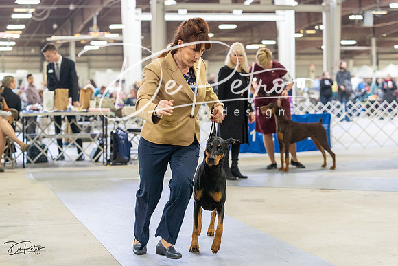 20230304-DSC07766