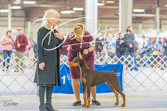 20230304-DSC07774
