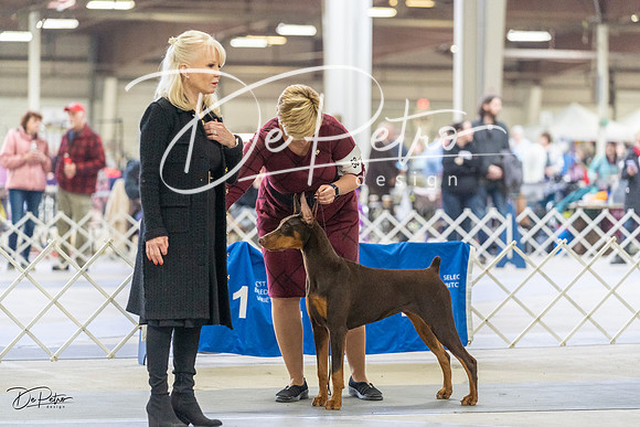 20230304-DSC07775
