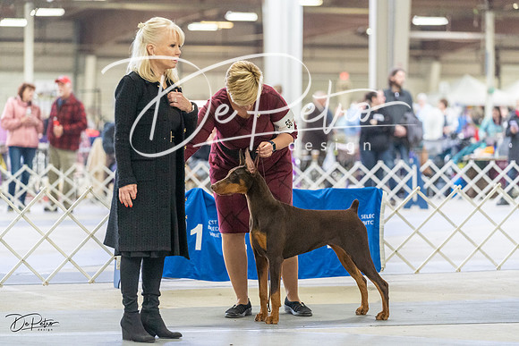 20230304-DSC07776