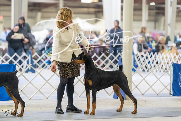 20230304-DSC07793