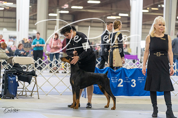 20230304-DSC07840
