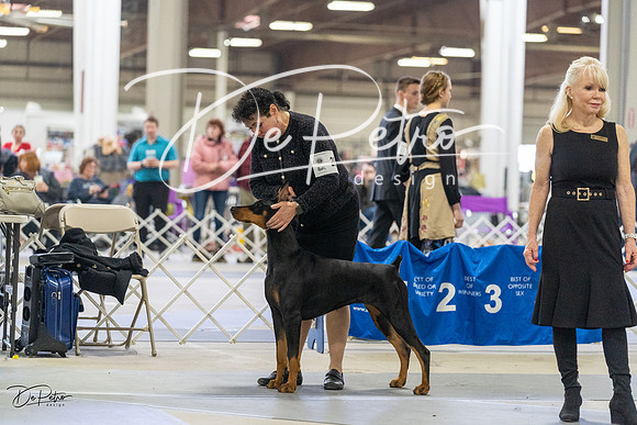 20230304-DSC07841
