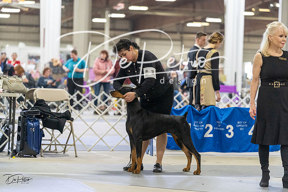 20230304-DSC07842
