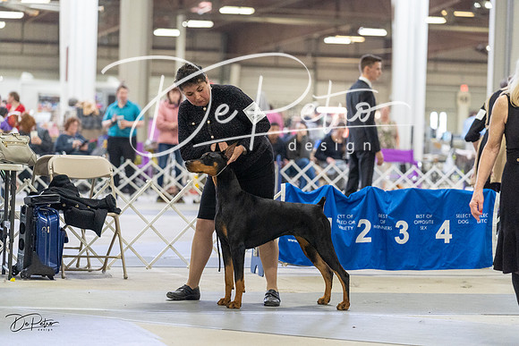 20230304-DSC07844