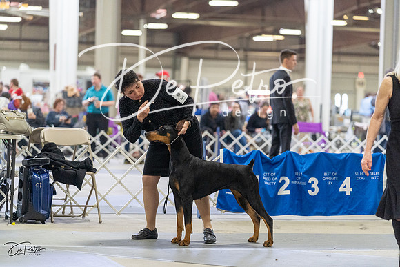 20230304-DSC07846