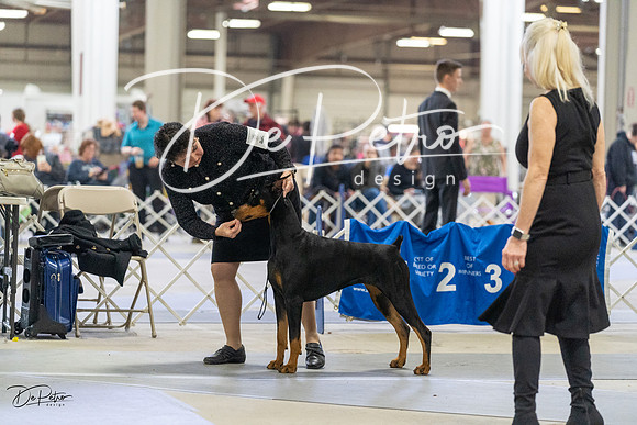 20230304-DSC07849