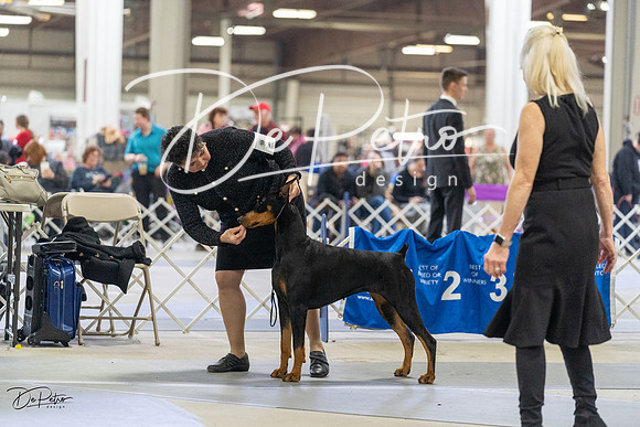 20230304-DSC07850